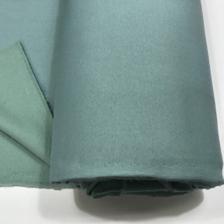 Q72-022 Paksu College, Minttu